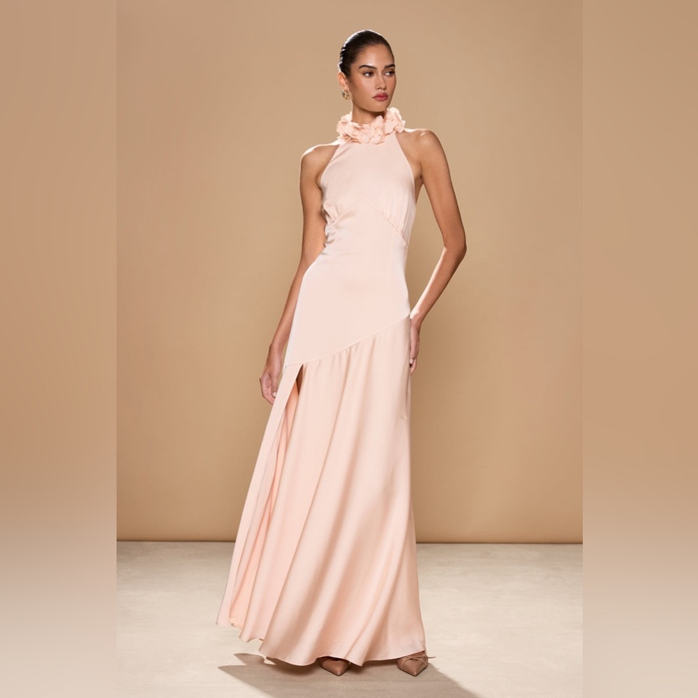 Sonya Moda Noelle gown Maxi Dress in Rose Wedding Guest Cocktail size S NWT - Picture 4 of 10